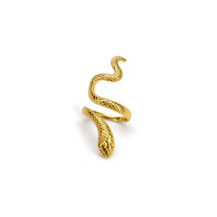 Gold-coloured open ring with a flowing serpentine shape and intricate textured detailing on a white background.